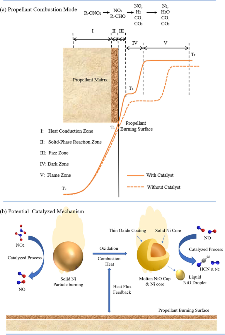 (a) The typical flame structure of homogeneous propellant containing R-ONO2 group (Kubota, 2015); (b) The proposed catalyzed combustion mechanism of Ni powders for propellant in this work.