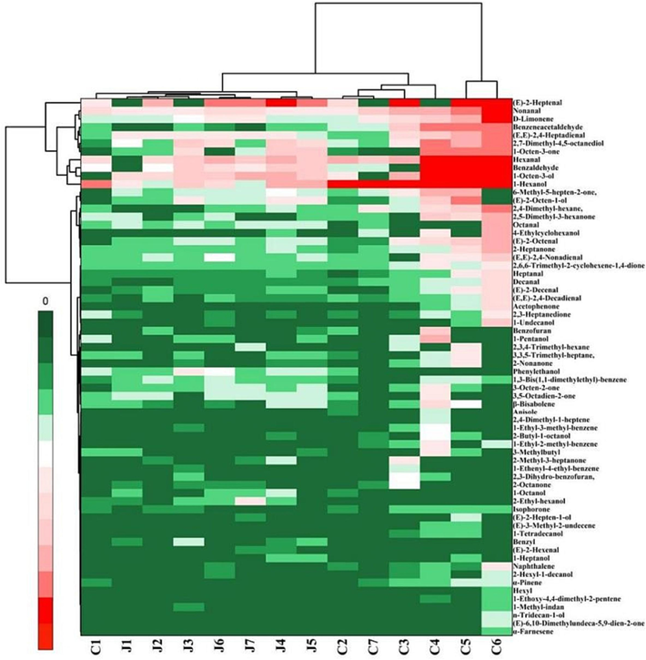 Hierarchical clustering of volatile components detected by GC–MS.