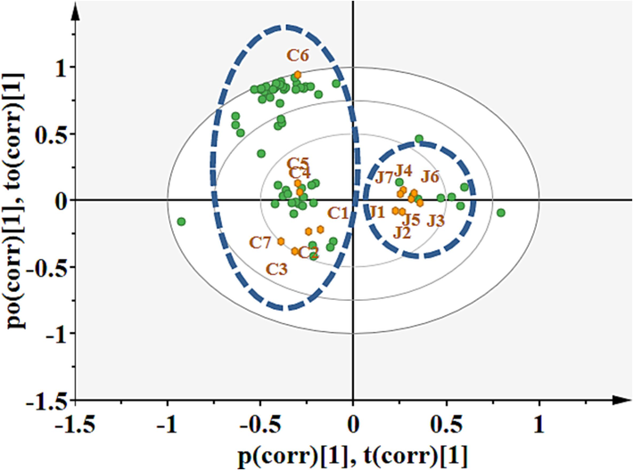 OPLS-DA bi-plot based on volatile components analyzed by GC–MS of CWO and RWO.