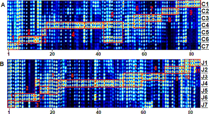 Representative fingerprints of CWO (A) and RWO (B) samples as analyzed by Gallery Plot.