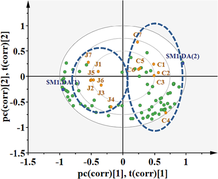 PLS-DA bi-plot based on volatile components from GC-IMS of CWO and RWO.