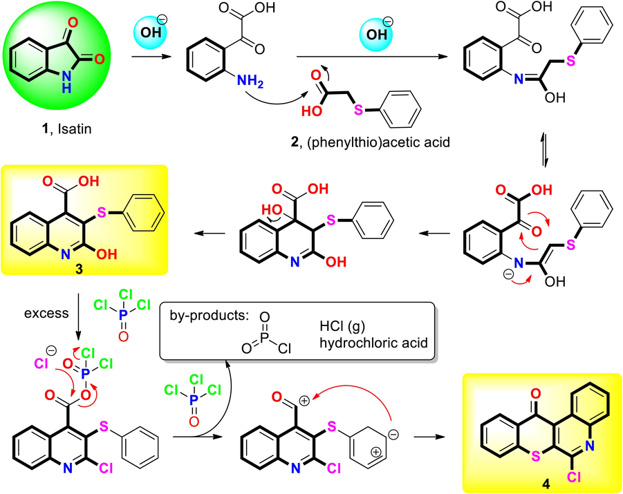 Mechanism and plausible catalytic cycle during Pfitzinger reaction and cyclization.