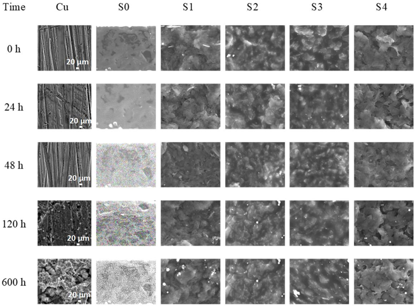 SEM images of uncoated Cu, pure epoxy, and GREN-coated Cu samples at different immersion times in 3.5 wt% NaCl solution.