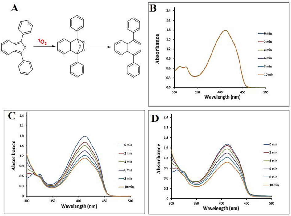 (A) Reaction mechanism of DPBF oxidation by 1O2. A spectrophotometric measurement determines ROS production. DPBF absorbance (B), and DPBF absorbance with ICG (C) or IZH (D), under irradiation with different time, respectively.