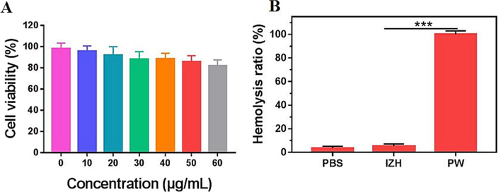 (A) RAW 246.7 cell cytotoxicity in vitro at different concentrations of IZH; (B) IZH hemolysis on red blood cells. (For interpretation of the references to colour in this figure legend, the reader is referred to the web version of this article.)