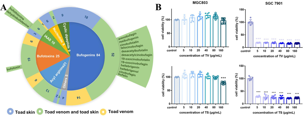 Pie chart of components (A) and bar graph of anti-GC effects (b) of TV and TS. (a) Inner of pie chart shows Proportion of structure type, median exhibits number of sources of each structure types (blue means TS, yellow means TV, green means both TS and TV) and potentially active ingredients from numerous studies are labeled in outer of pie chart. (B) Inhibitory effects of TS and TV on the viability of human GC cell lines SGC7901 and MGC803. Cells were treated with TS or TV extract for 48 h, respectively, and cell growth was measured by microplate reader (n = 6, and the data were present as mean (±S.E.M). ***p < 0.001 vs normal control, by ANOVA test and Dunnett’s multiple comparison test).