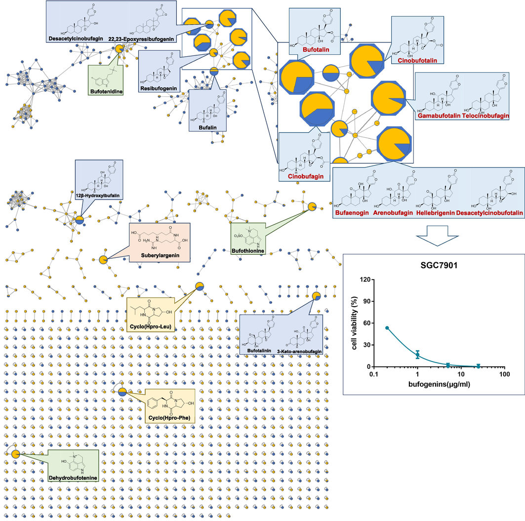 Molecular networking of prototypical components in serum samples and 70% methanol eluted fraction in TS (blue means bufogenins, green means IAAs, yellow means cyclic dipeptides, pink means acyi-argnines), and GC cytotoxicity of nine of major bufogenins.