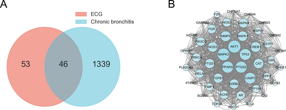 Venn diagram of ECG and CB-related targets (A), PPI network of potential targets (B).