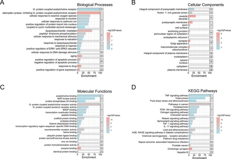 GO enrichment and KEGG pathways analysis of the anti-CB targets of ECG. (A) Biological Processes, (B) Cellular Components, (C) Molecular Function, (D) KEGG Pathway.