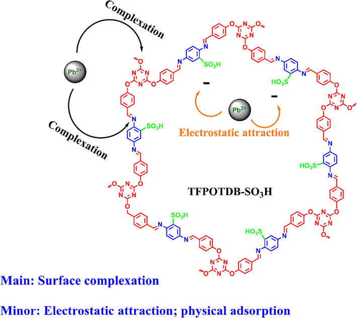 The adsorption process of Pb(II) by TFPOTDB-SO3H and its probable mechanism.