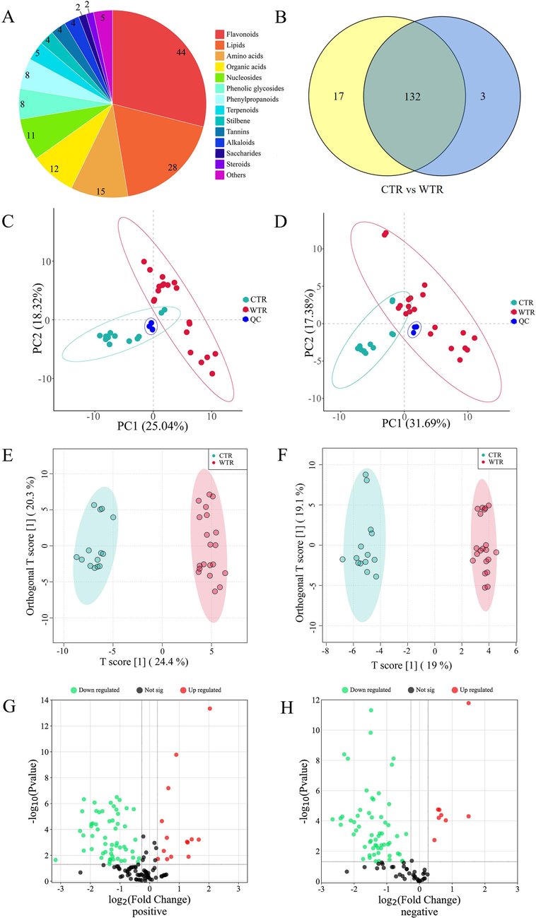 Multivariate statistical analysis. A. The type and amount of metabolite identified. B. Venn diagram of the number of common metabolites between CTR and WTR. Details are given in Table S4. C − D. PCA plot of CTR and WTR in positive (C) and negative (D) ion mode. Green represents CTR, red represents WTR, and blue represents QC samples. E − F. OPLS-DA plot of CTR and WTR in positive (E) and negative (F) ion mode. The green dots are CTR, red dots are WTR. G − H. Volcano plot of CTR and WTR in positive (G) and negative (H) ion mode. Blue represents the down tone, and red represents the up tone. (For interpretation of the references to color in this figure legend, the reader is referred to the web version of this article.)