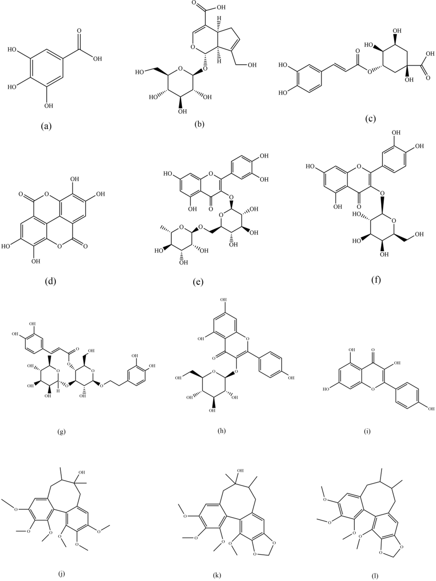 Chemical structures of gallic acid (a), geniposidic acid (b), chlorogenic acid (c), ellagic acid (d), rutin (e), hyperoside (f), verbascoside (g), astragalin (h), kaempferol (i), schisandrol A (j), schisandrol B (k), schisandrin B (l).