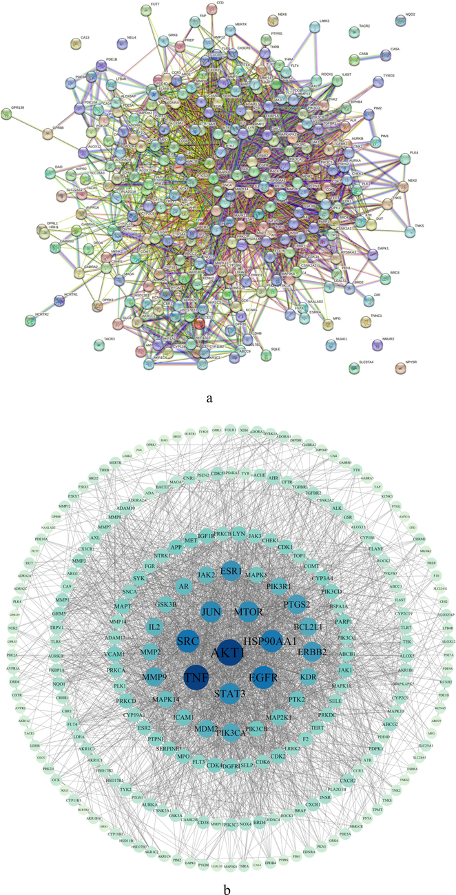 PPI network.