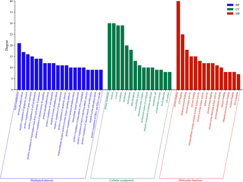 GO enrichment analysis.