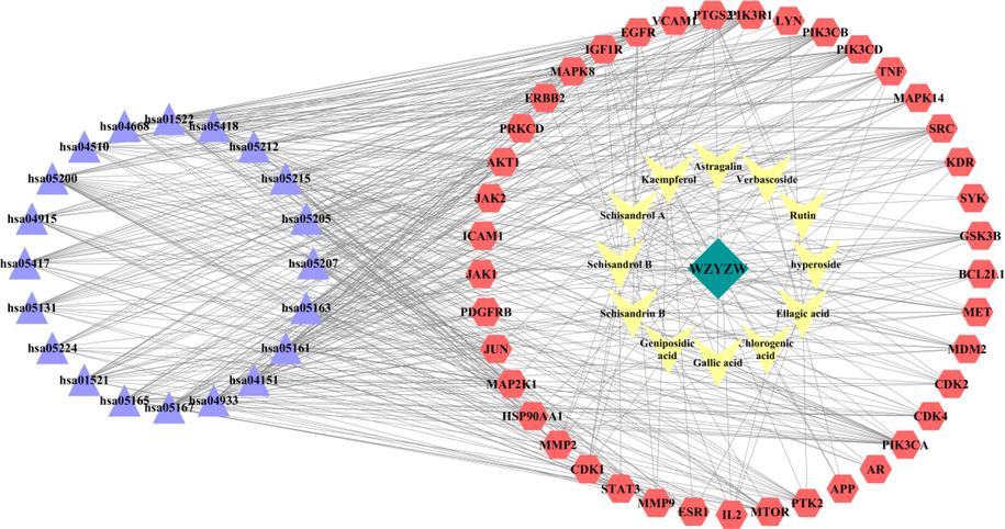 Network of “drug-components-targets-pathways”. Blue represents pathways; Red represents targets; Yellow represents components; Green represents WZYZW. (For interpretation of the references to colour in this figure legend, the reader is referred to the web version of this article.)