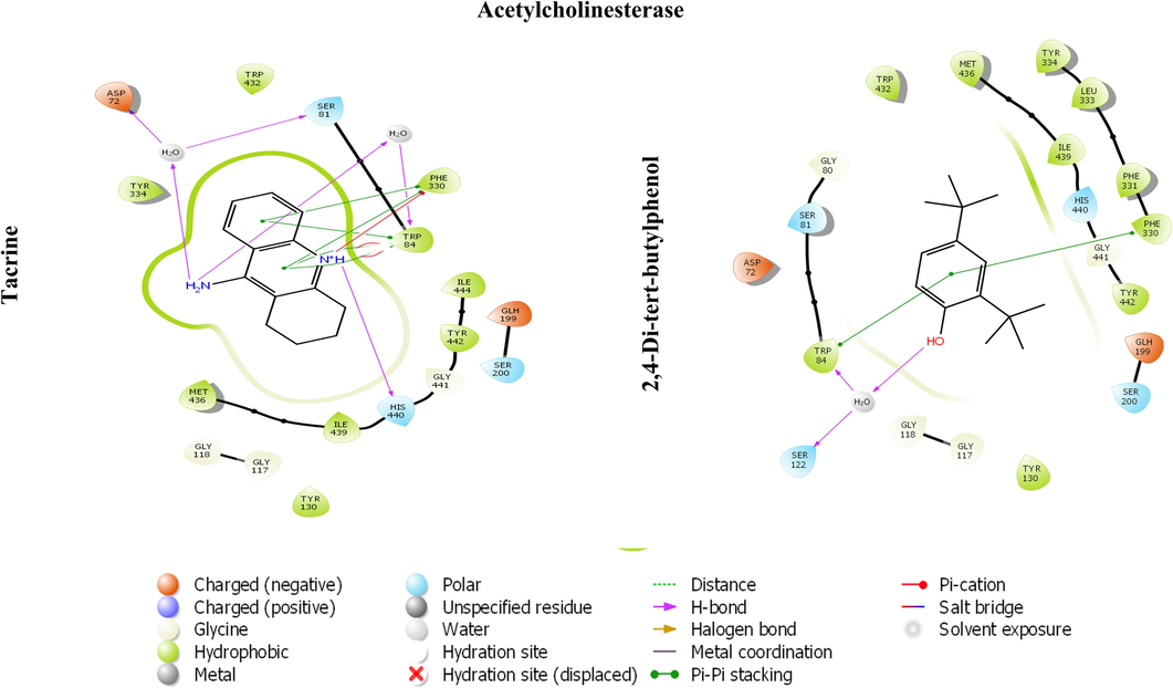 The 2D image represents the in-silico binding pattern of (A) Tacrine and (B) 2,4-Di-tert-butylphenol within the active pocket of AChE crystal.