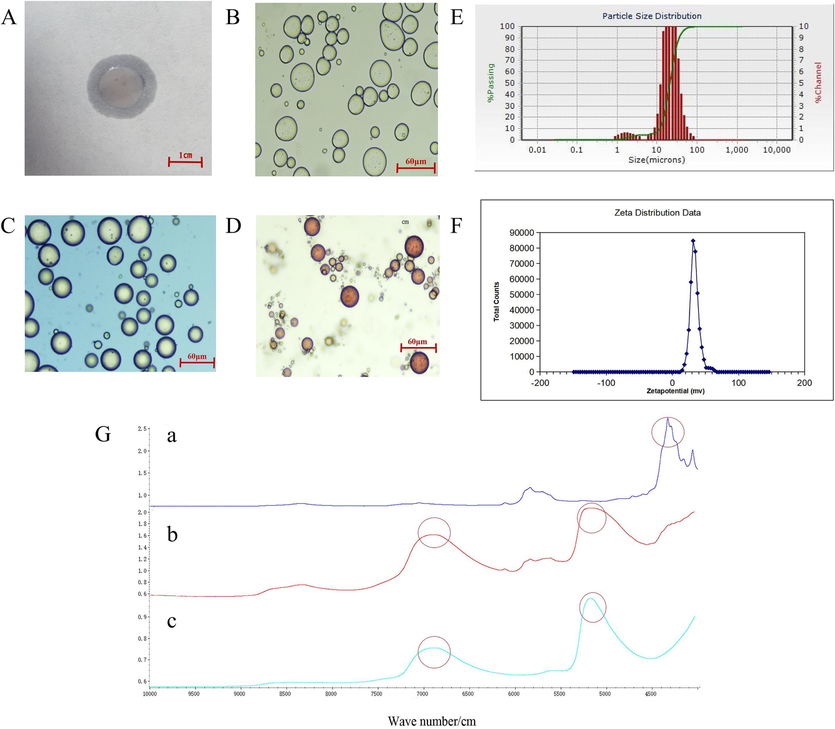 Characterization diagram of modified Cinnabaris particle Pickering emulsion. Filter paper method was used to identify the type of modified Cinnabaris particles (A), the microstructure of Pickering original emulsion (B), the microstructure of Pickering emulsion with methylene blue solution (C), the microstructure of Pickering emulsion with Sudan III solution (D), the particle size diagram of Pickering emulsion (E), the Zeta potential diagram of Pickering emulsion (F), the near-infrared spectrum of AT-VO(a), Cinnabaris suspension (b) and Pickering emulsion (c) (G).