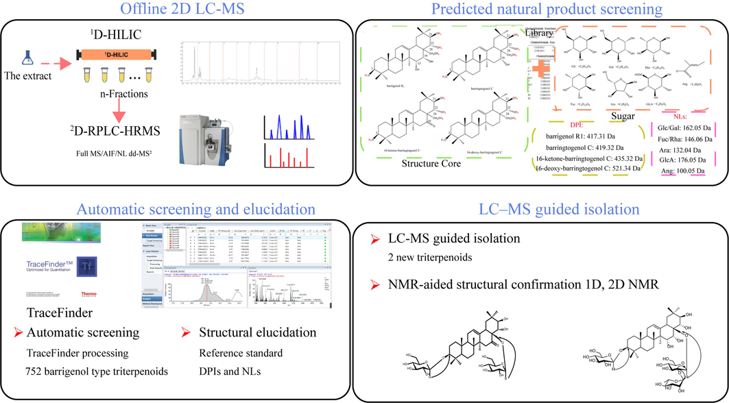 The workflow PNPS based offline 2D LC–MS guided isolation of barrigenol saponins from the shell of XSB.