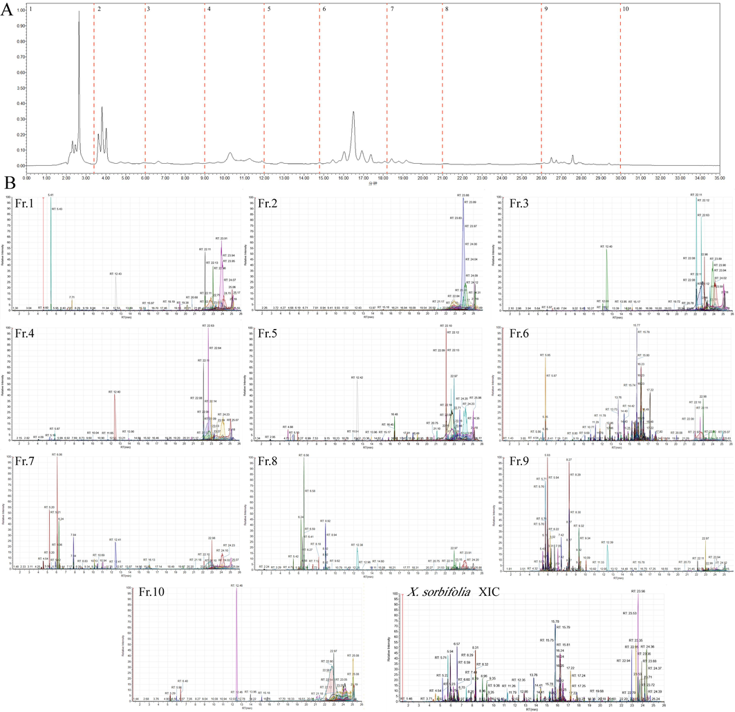 Chromatographic separation of XSB by the developed HILIC × RPLC 2D-LC/MS system. (A) 1D UV spectrum of the total extract by HILIC; (B) 2D extracted ion chromatogram of ten fraction samples and XSB total extract.