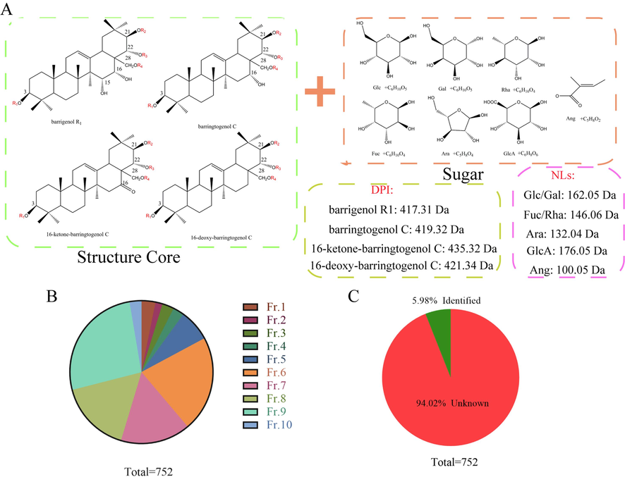 Schematic diagram for prediction of barrigenol type saponins. (A) Predicted metabolites screening strategy; (B-C) the screening results of barrigenol type saponins.