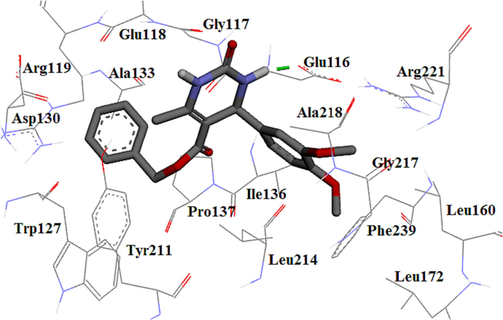 The 3D plot of the binding mode of 4 m in Eg5 active site.