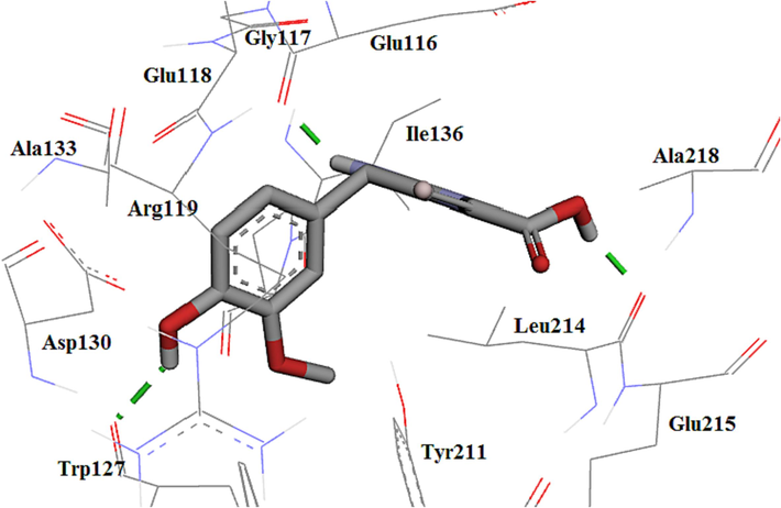 The 3D plot conformation of 4d in the Eg5 active site.