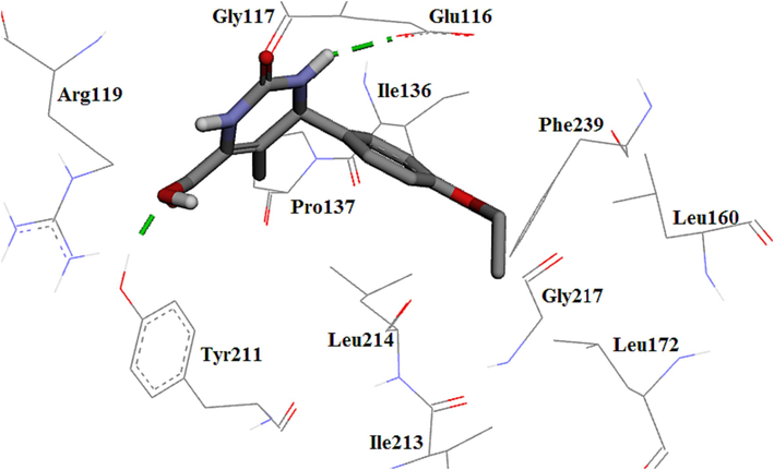 The 3D plot of the binding mode of 4i in the Eg5 active site.