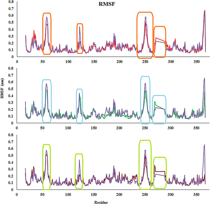 RMSFs of the compounds 4c (Red), 4 m (Green), 4d (Brown) and monastrol (Purple) in complex with Eg5 active site.