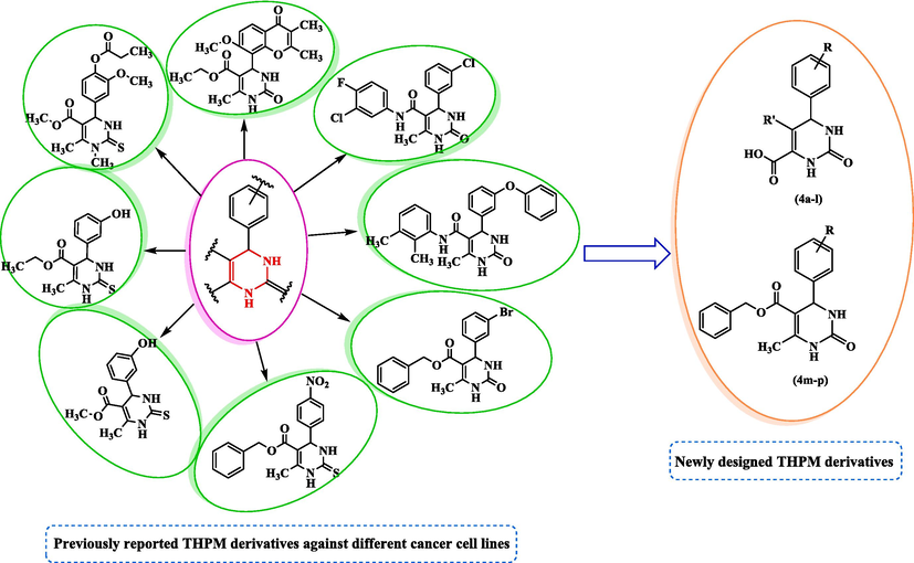 Design strategy of new THPM derivatives as anti-cancer agent.