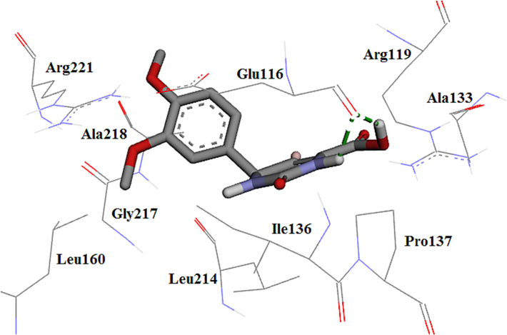 The 3D plot of the conformation of analogue 4c in Eg5 active site.