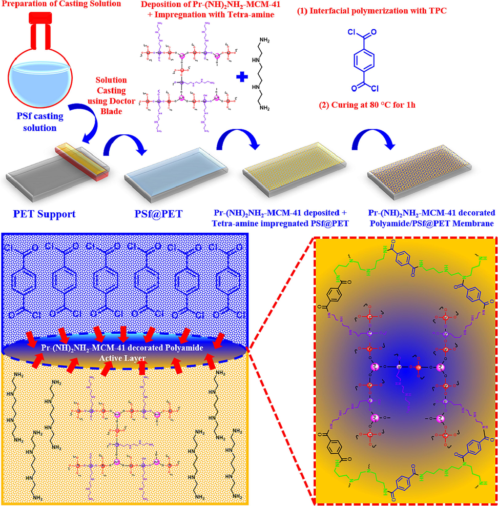 Schematic illustration of steps involved in membrane fabrication through interfacial polymerization.