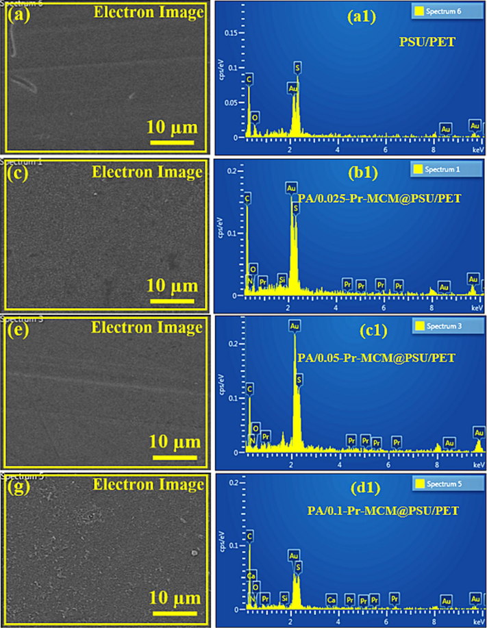 Selected areas for EDX of (a) PSU/PET support, (c) PA/0.025-Pr-MCM@PSU/PET, (e) PA/0.050-Pr-MCM@PSU/PET and (g) PA/0.100-Pr-MCM@PSU/PET and EDX analysis of (b) PSU/PET support, (d) PA/0.025-Pr-MCM@PSU/PET, (f) PA/0.050-Pr-MCM@PSU/PET and (h) PA/0.100-Pr-MCM@PSU/PET.
