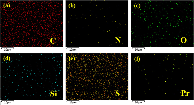 Mapping analysis of PA/0.050-Pr-MCM@PSU/PET membranes as a representative membrane.