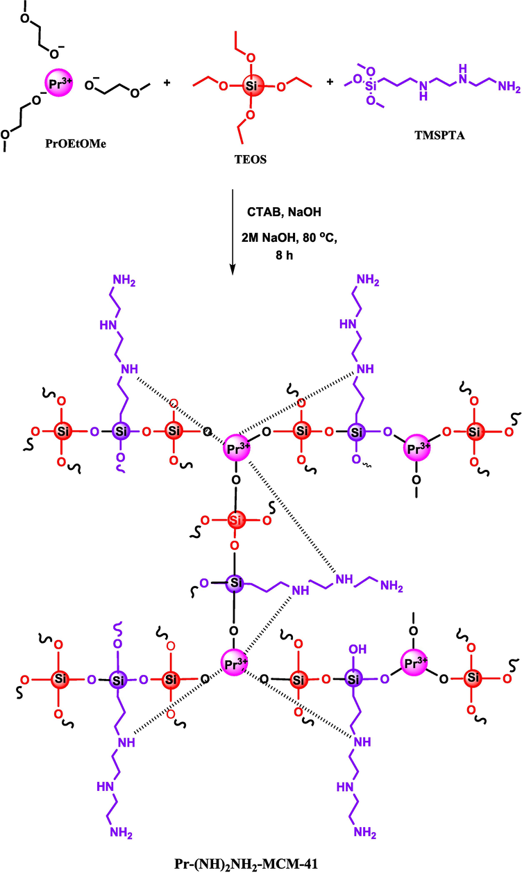 Schematic representation of synthesis route of Pr-(NH)2NH2-MCM-41.