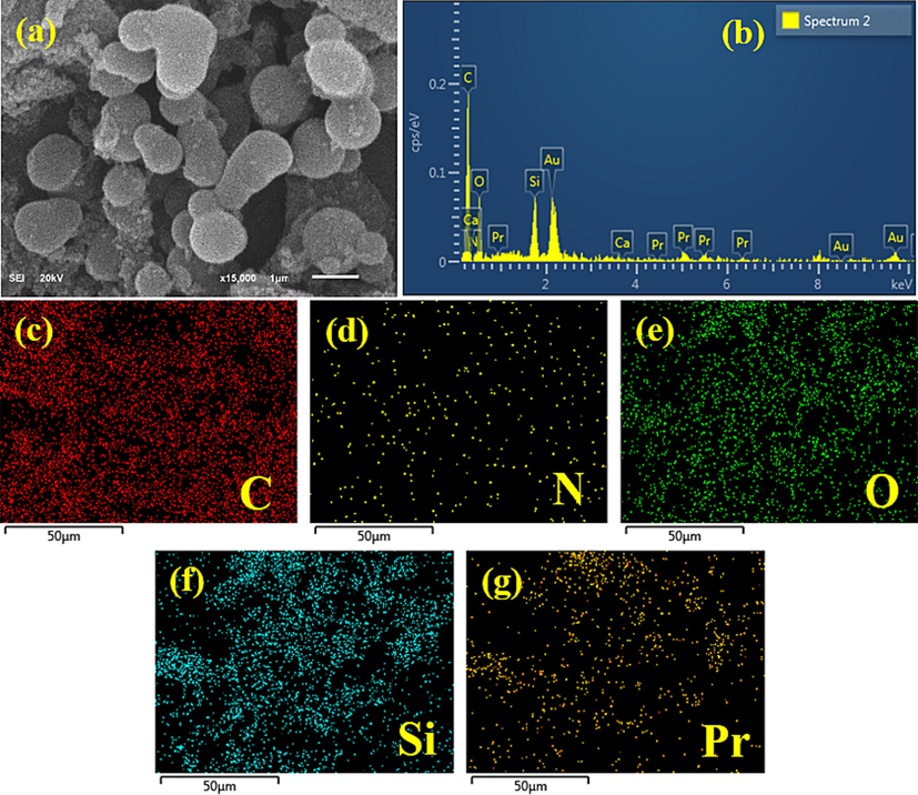 (a) The selected area, (b) EDX analysis, and (c to g) mapping analysis of Pr-(NH)2NH2-MCM-41 [0.05%].