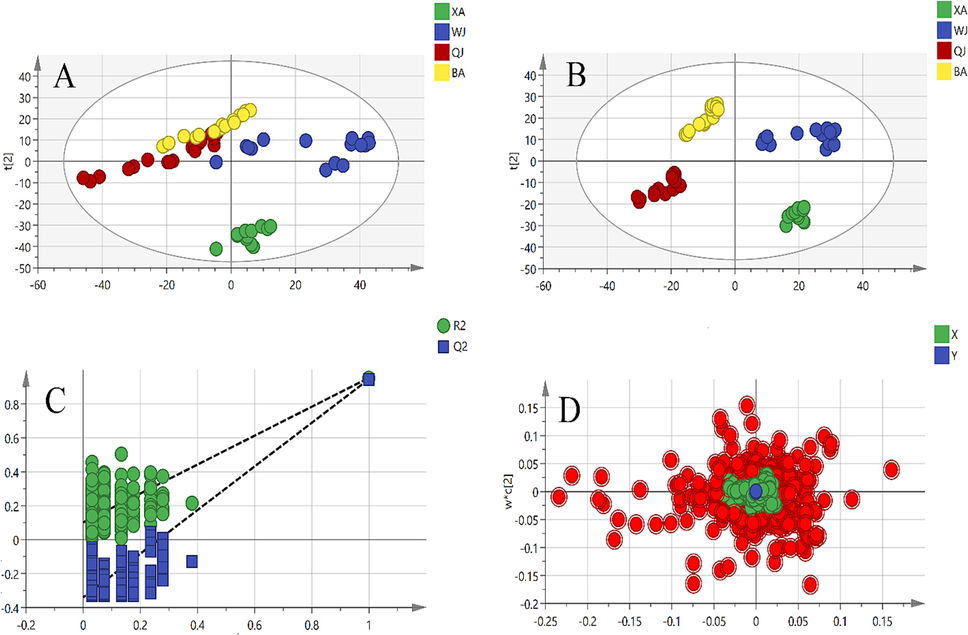 Multivariate statistical analyses of four different cultivar Qiai samples: (A) PCA score plot; (B) PLS-DA score plot; (C) cross-validation plot of the PLS-DA model with 200 permutation tests; (D) loading plot of PLS-DA (red dots represent the most differential compounds, VIP > 1).