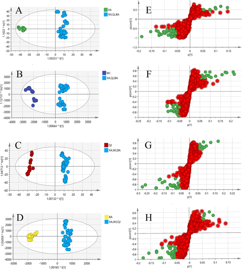 OPLS-DA score plot (A, B, C, D) and S-plot (E, F, G, H) along with selected candidate marker compounds (cut-off values of |p| ≥0.05 and |p (corr) | ≥ 0.5, green dots represent the most differential compounds, VIP > 1) between XA, WJ, QJ and BA vs. the other three cultivars, respectively.