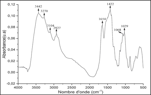 FTIR spectrum of raw chitin.