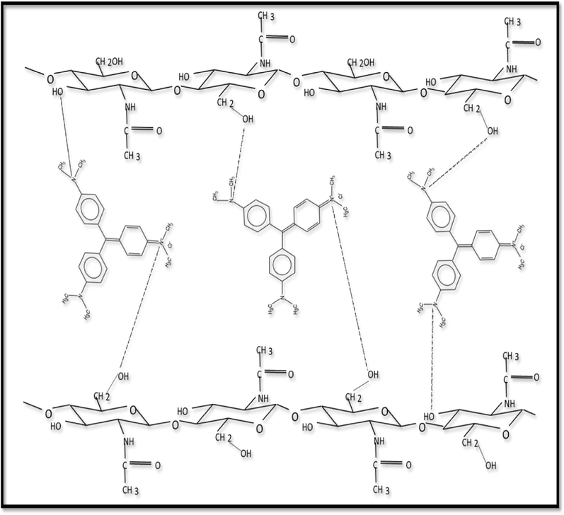 proposed mechanism for CV adsorption on raw chitin.