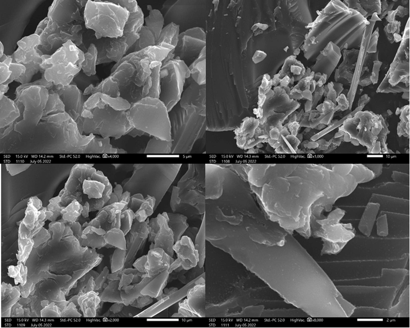 SEM images of raw chitin.