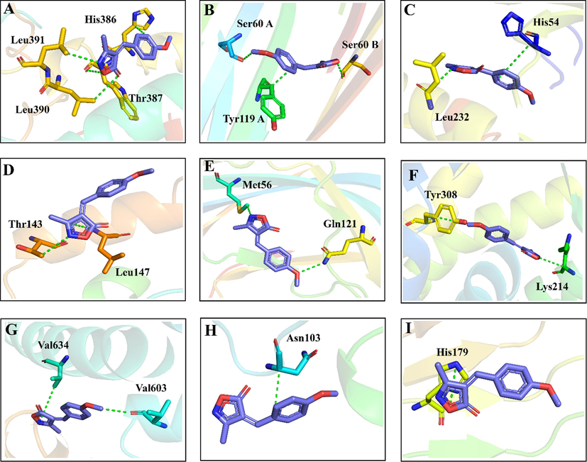 Represent the 3D interactions pattern of all target receptors with isoxazolone derivative. (A) indicates COX-2, (B) for TNF-α (C) for Mu-opioid, (D) for IL-6 (E) for Nicotinic α7 (F) for Delta-opioid (G) for NMDA (H) for NFKB, and (I) for TLR4 in complex with isoxazolone derivative.