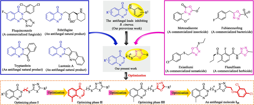 Design strategy of quinazolin-4(3H)-one bionic-alkaloids bearing an 1,3,4-oxadiazole fragment.