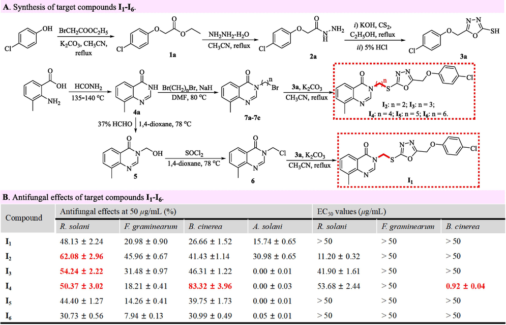 Synthesis and antifungal effects of target compounds I1–I6.