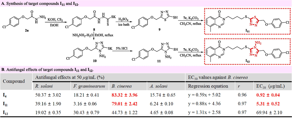 Synthesis and antifungal effects of target compounds I11 and I12.