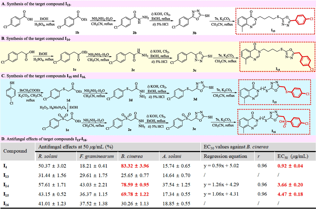 Synthesis and antifungal effects of target compounds I13–I16.