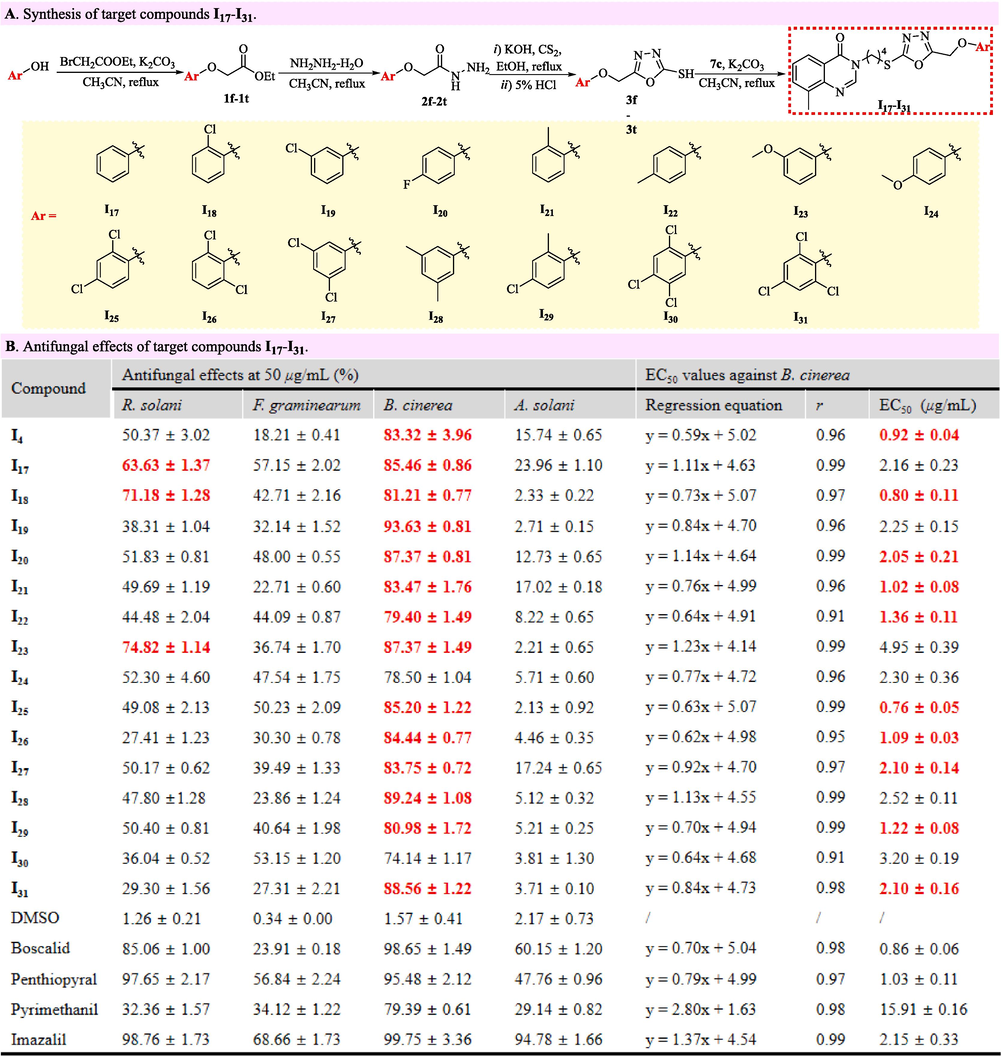 Synthesis and antifungal effects of target compounds I17–I31.