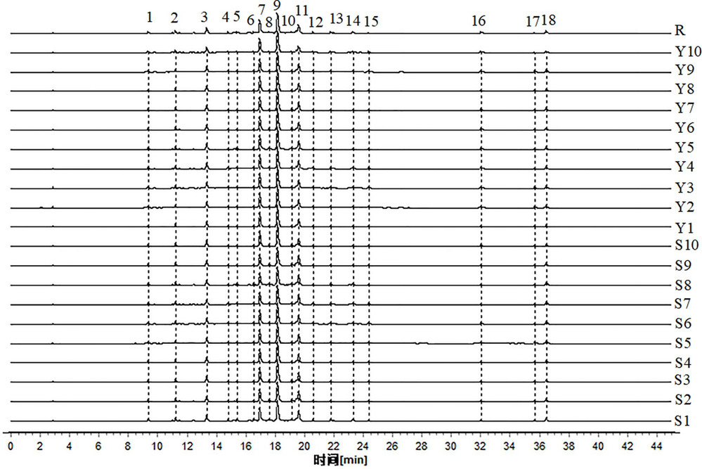 HPLC characterization of 20 batches of Semen Cuscutae and Semen Cuscutae processed with salt solution. S: raw products of Semen Cuscuta; Y: Semen Cuscutae processed with salt solution; R: Mixed control solution