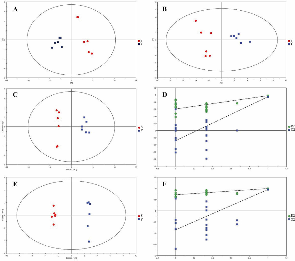 Analysis of blood components of S and Y in positive and negative ion mode. PCA score plots (A) in positive ion mode and (B) in negative ion mode; OPLS-DA score plots (C) in positive ion mode and (E) in negative ion mode; permutation plots (D) in positive ion mode and (F) in negative ion mode.