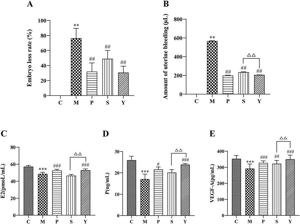 Embryo loss rate (A) and amout of uterine bleeding (B) in pregnant rats. E2, P, VEGF-A content in the serum (C, D, E). Compared with the C group, *P < 0.05, **P < 0.01, ***P < 0.001; Compared with the M group, #P < 0.05, ##P < 0.01, ###P < 0.001 Compare with the Y group, △P < 0.05, △△P < 0.01, △△△P < 0.001.