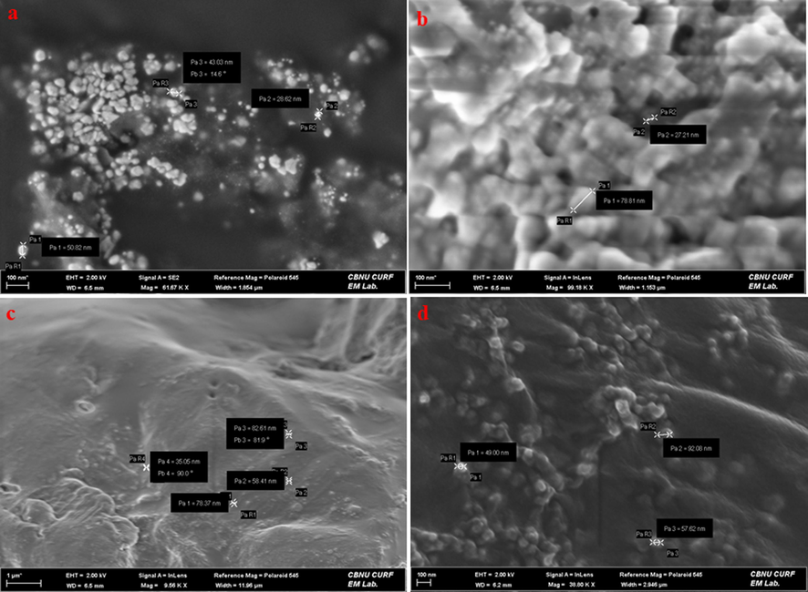 FE-SEM micrographs representing surface morphology of (a) AgNPs (b) CsNPs (c) Cs/AgNCs (d) Cs/AgNCs/tbn.